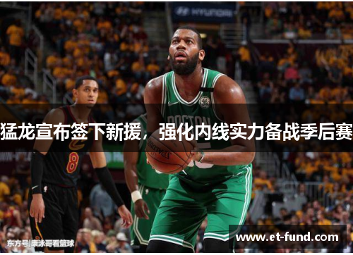 猛龙宣布签下新援，强化内线实力备战季后赛