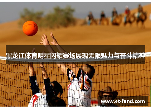 黑龙江体育明星闪耀赛场展现无限魅力与奋斗精神